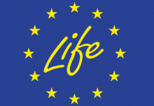Life logo